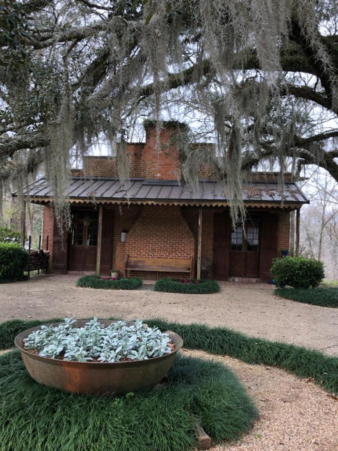 Greenwood Plantation B&B Inn Saint Francisville Eksteriør bilde